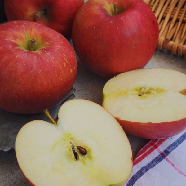 直播 -日本紅顏姬蘋果  -完全零負評 