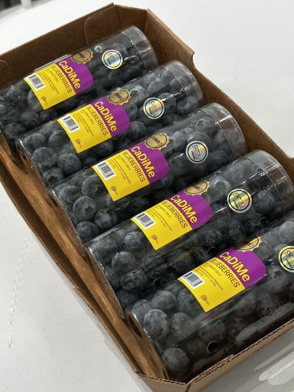 祕魯藍莓(管狀) 美國藍莓, 藍莓空運, 新鮮藍莓推薦, 進口藍莓, 冷藏藍莓宅配, 花青素水果, 健康水果, 藍莓團購, 藍莓禮盒, 小朋友適合的水果