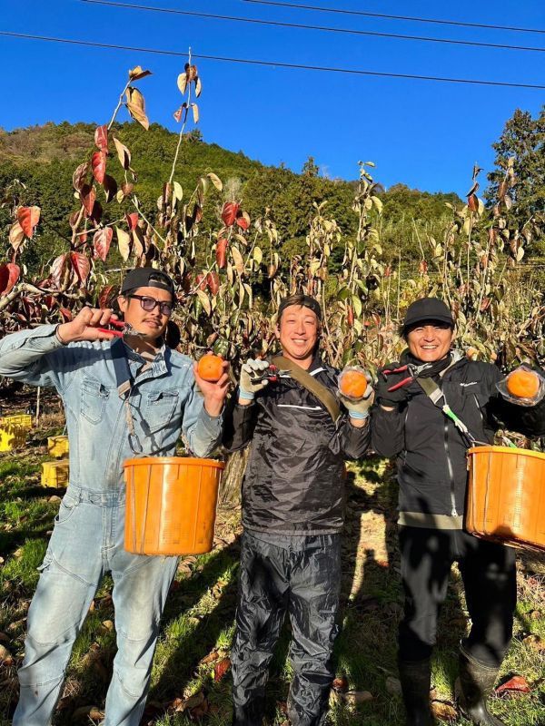 日本樹上完熟芝麻柿 日本芝麻柿、星空柿、日本甜柿、進口高級水果、秋冬水果禮盒、甜柿推薦、Smile水果、日本原裝進口、柿子預購、頂級果物