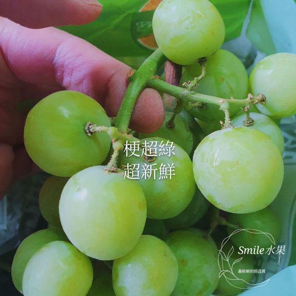 直播 秋脆-綠無籽葡萄 