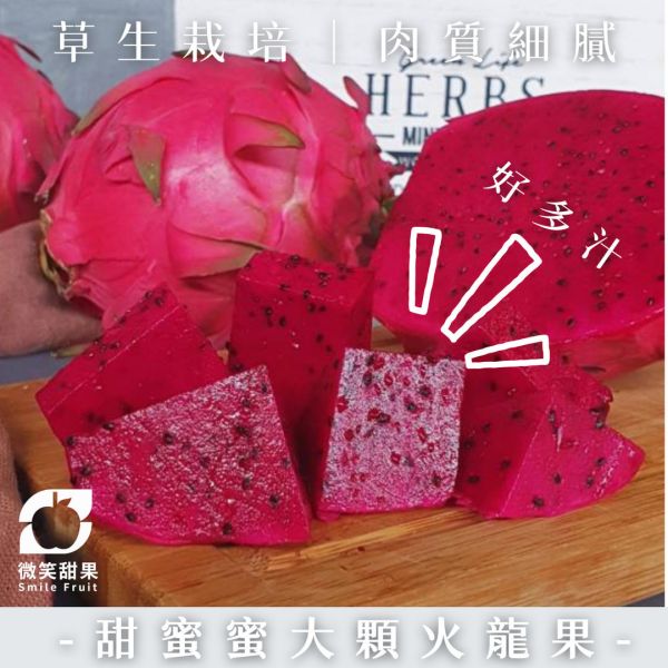 甜蜜蜜大顆火龍果-完全無土味 巨無霸火龍果、台灣火龍果、草生栽培火龍果、香甜火龍果、夏季水果、Smile水果