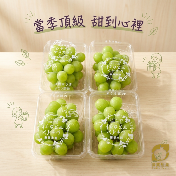 日本  麝香葡萄-PC盒 禮盒裝 