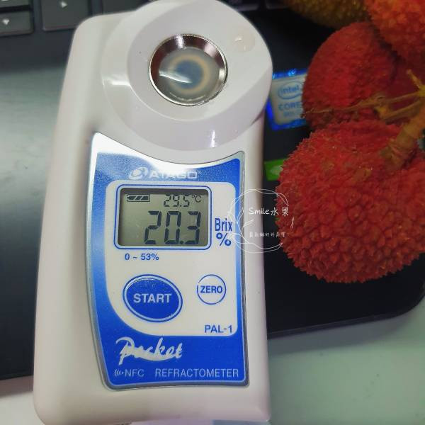 旺荔荔枝｜全台獨家品種・甜度20度 Smile水果,微笑甜果,旺荔,旺荔荔枝,台農2號,獨家荔枝品種,荔枝宅配,高甜度荔枝,產地直送荔枝,荔枝禮盒,送禮水果,旺荔 玉荷包