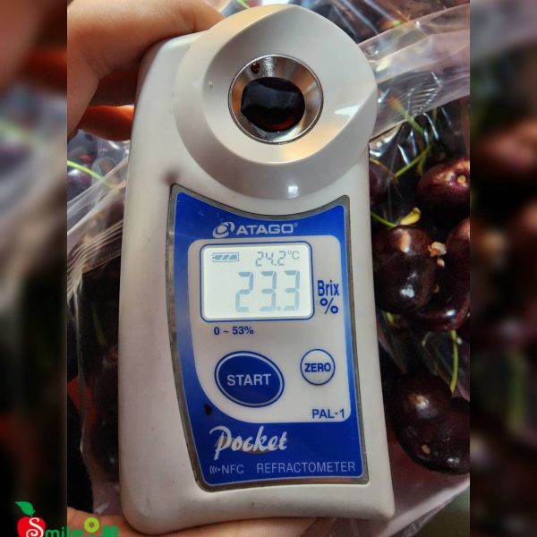 智利黑櫻4JD櫻桃-超級巨無霸 