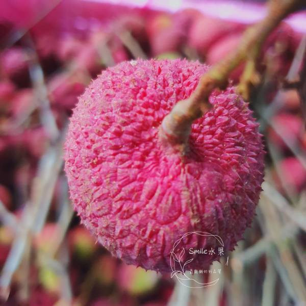 旺荔荔枝｜全台獨家品種・甜度20度 Smile水果,微笑甜果,旺荔,旺荔荔枝,台農2號,獨家荔枝品種,荔枝宅配,高甜度荔枝,產地直送荔枝,荔枝禮盒,送禮水果,旺荔 玉荷包