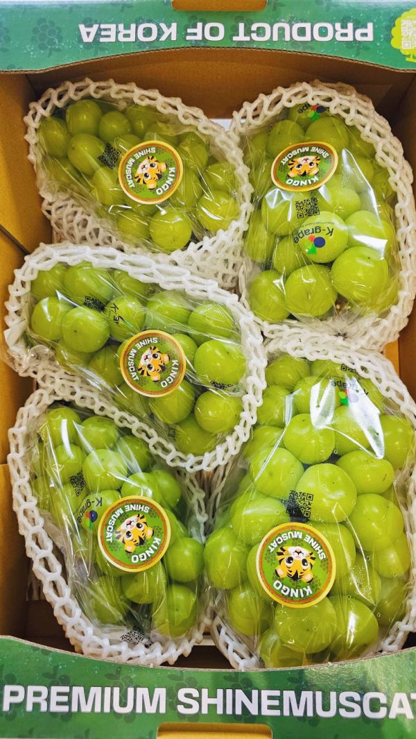 韓國麝香5房原裝 韓國麝香葡萄、進口水果、精品水果、甜香葡萄、節慶送禮、水果禮盒推薦、冷藏宅配、新鮮水果、禮盒首選、Smile水果