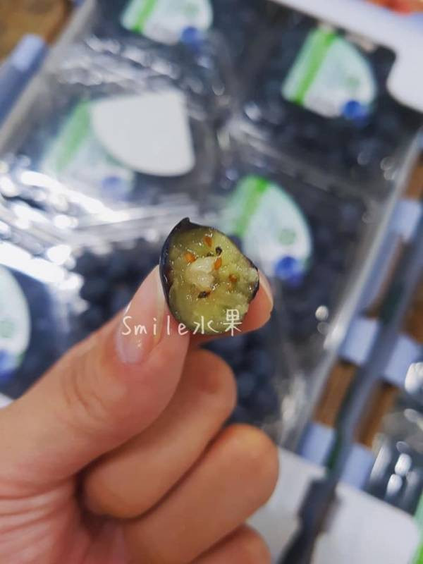 直播 美國藍莓 祕魯藍莓