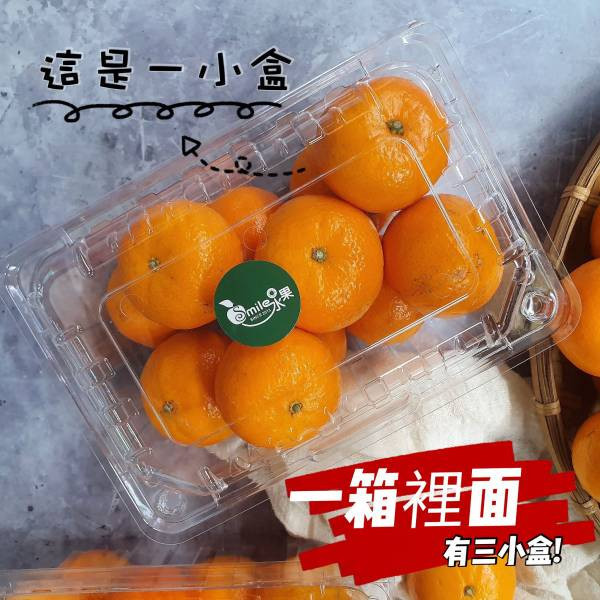 (直播)美國-砂糖橘 