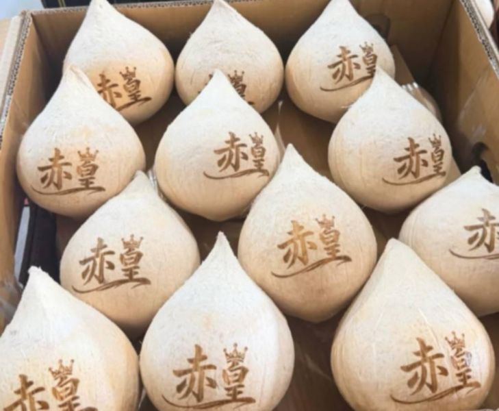 (現貨)香水椰 芋頭香//很甜/ 