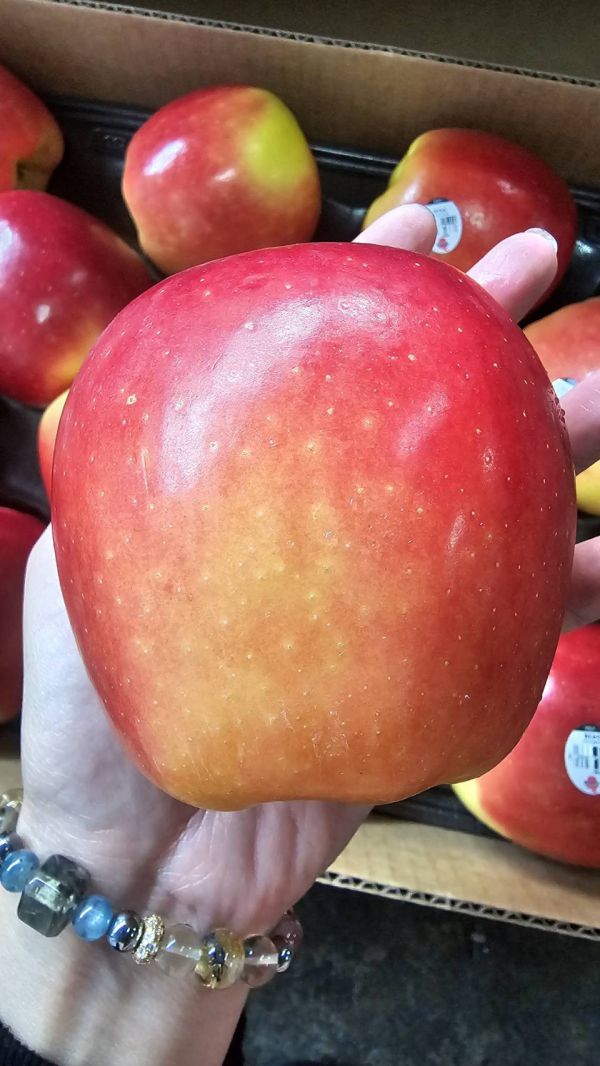 美國 黃金蘋果 - 特殊清香 香甜可口 黃金牛奶蘋果、高甜蘋果、脆蘋果推薦、美國蘋果箱、進口蘋果團購、多汁蘋果、10kg蘋果、原裝蘋果宅配、天然外觀痕跡、Smile水果