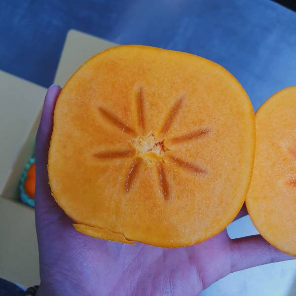 直播-高山上的大雪山甜柿-甜度超越極致 台灣甜柿, 富有甜柿, 次朗甜柿, 高山水果, 秋冬限定水果, 脆口甜柿, 水果禮盒, 甜到心坎裡, Smile水果, 節慶送禮, 香甜水果, 高山種植