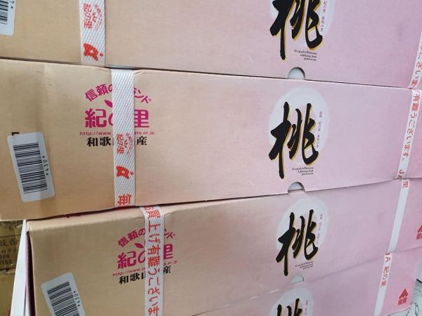 日本和歌山水蜜桃-入口即化 