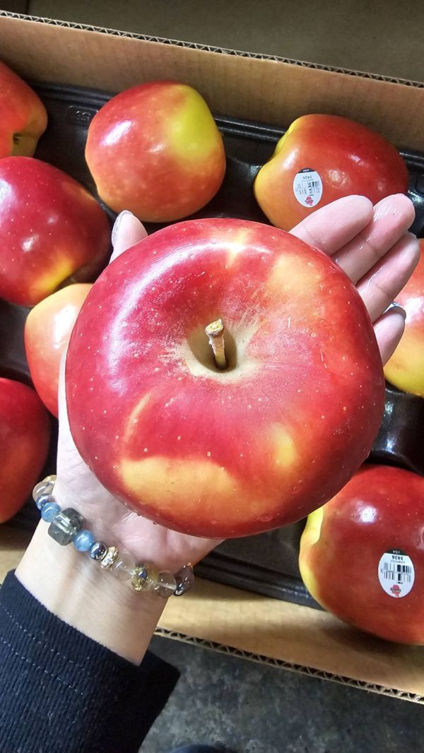 美國 黃金蘋果 - 特殊清香 香甜可口 黃金牛奶蘋果、高甜蘋果、脆蘋果推薦、美國蘋果箱、進口蘋果團購、多汁蘋果、10kg蘋果、原裝蘋果宅配、天然外觀痕跡、Smile水果