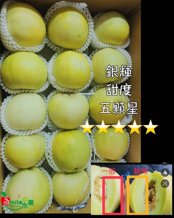直播 露天 香瓜 