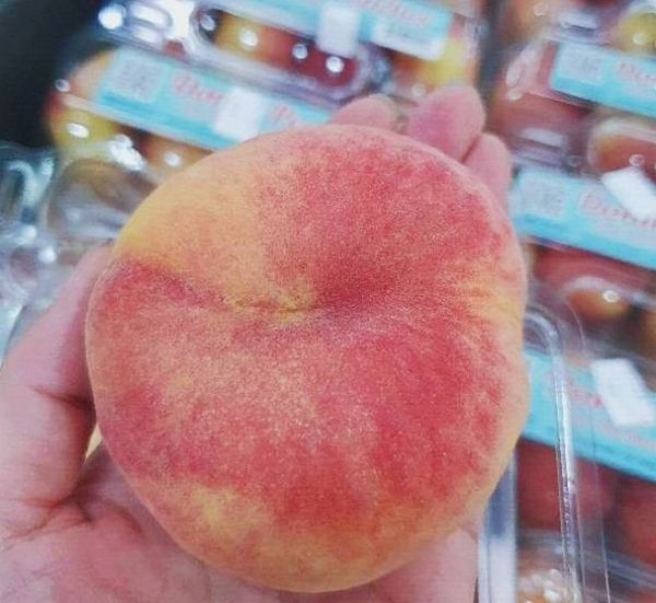 直播 美國甜甜圈-管狀蟠桃 