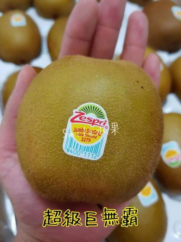 直播 紐西蘭黃金奇異果【巨無霸】 