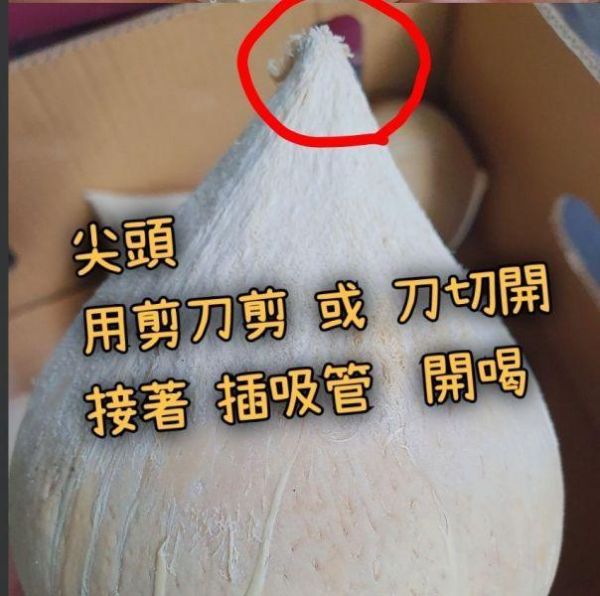 (現貨)香水椰 芋頭香//很甜/ 