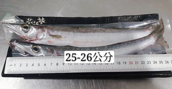 野生尖梭魚-10包免運-肉細緻 無暗刺 