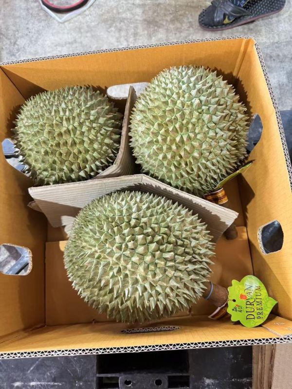 泰國皇室長柄榴槤-空運到貨 