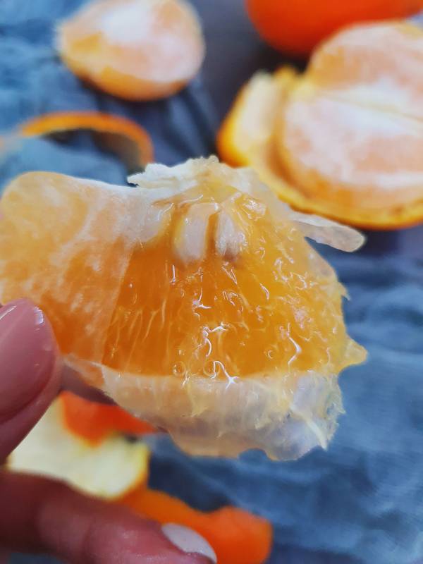 台灣椪柑-果肉細緻 多汁 超甜 