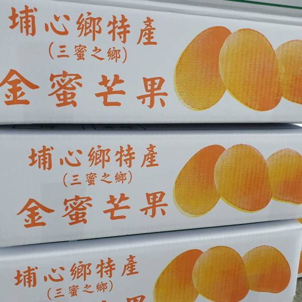 金蜜芒果-(很甜很好吃) 