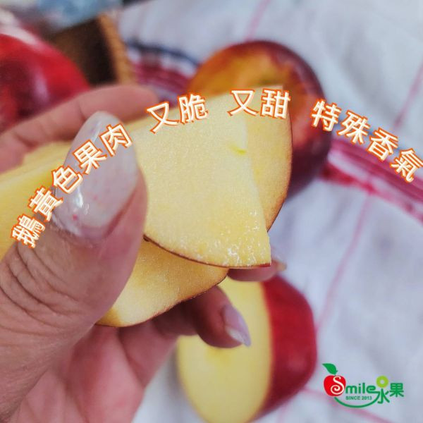 直播 紐西蘭 皇后蘋果 - 甜蜜脆口 