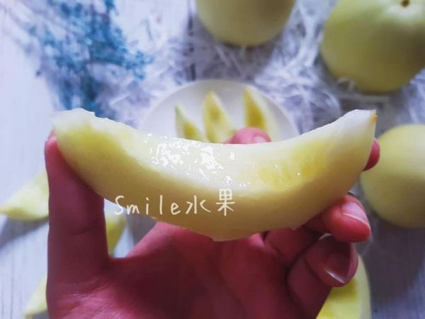直播 露天 香瓜 