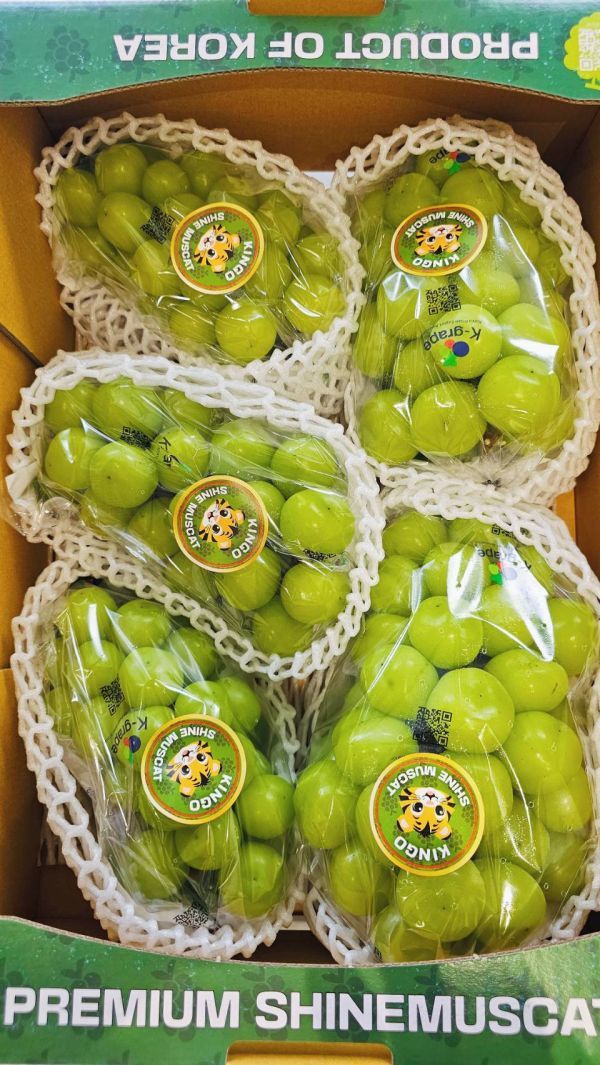 原裝5房韓國麝香葡萄-特惠價 韓國麝香葡萄、進口水果、精品水果、甜香葡萄、節慶送禮、水果禮盒推薦、冷藏宅配、新鮮水果、禮盒首選、Smile水果