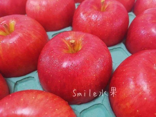 直播 -日本紅顏姬蘋果  -完全零負評 