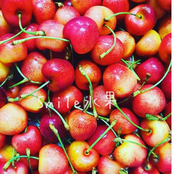 直播 夢幻草莓白櫻桃 爆炸甜度 