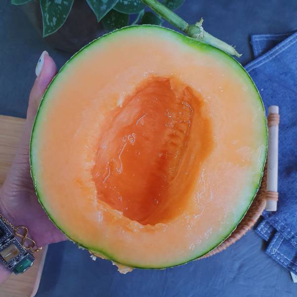 台灣哈密瓜-七股香-媲美北海道哈密瓜 
