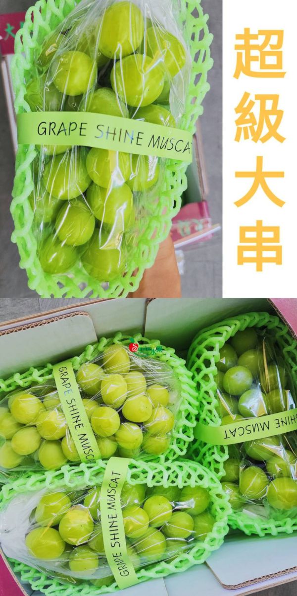 (預購)韓國麝香葡萄-品質超級優 