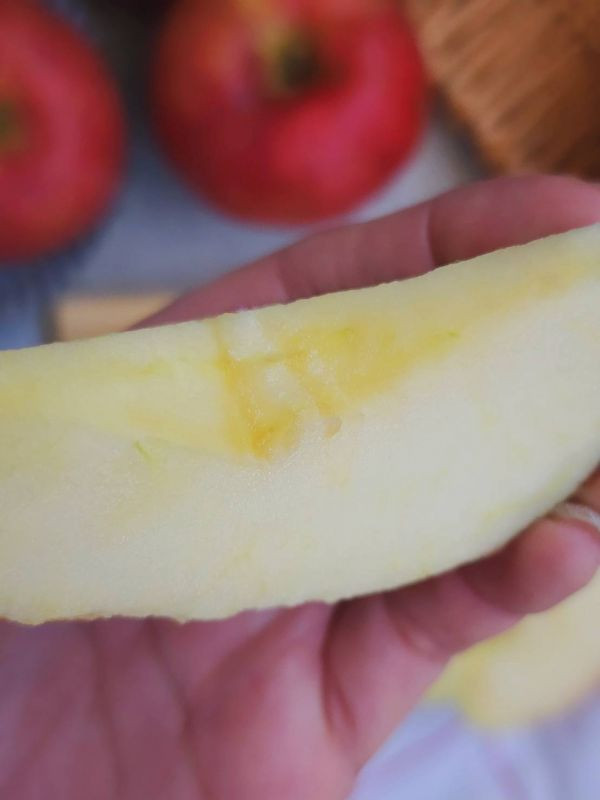 直播 -日本紅顏姬蘋果  -完全零負評 