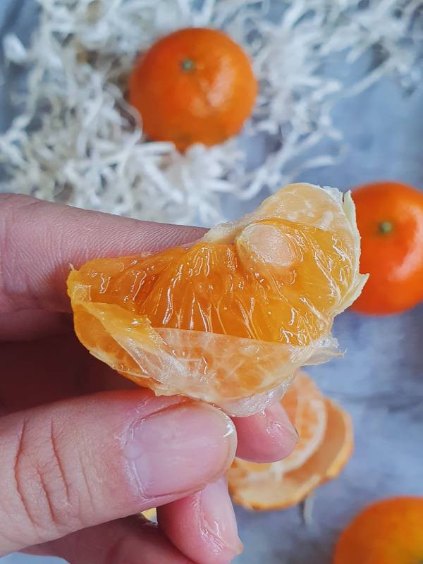 日本熊本蜜柑(特價優惠中) 