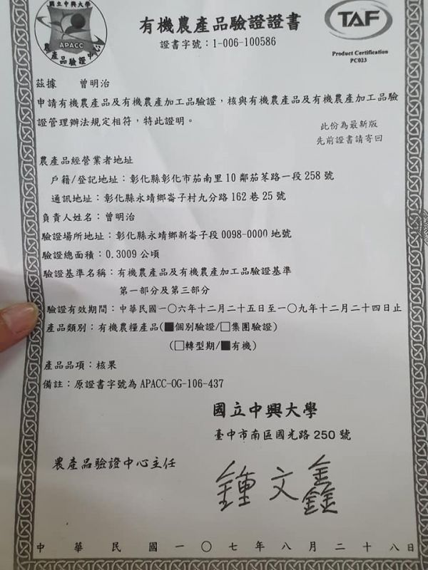金蜜芒果-(很甜很好吃) 