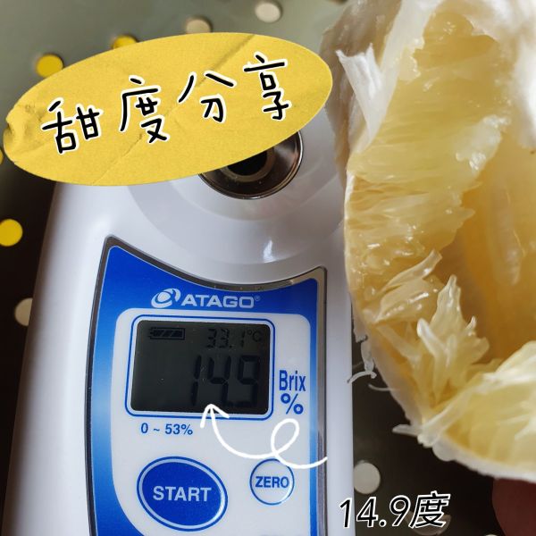 (預購)老欉50年柚子(5斤) 