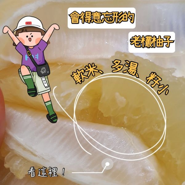 (預購)老欉50年柚子(5斤) 