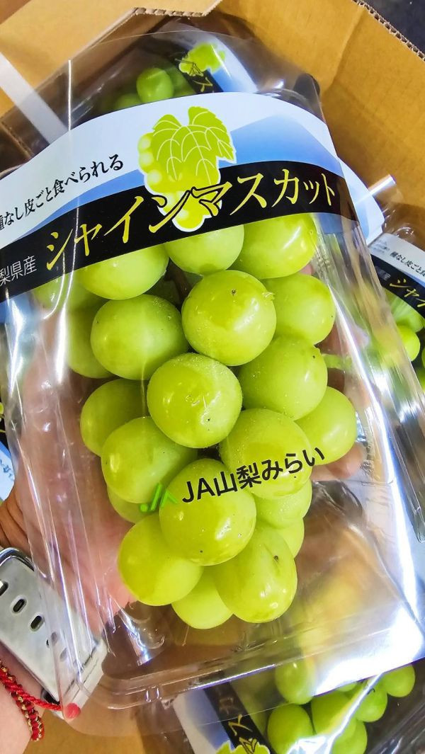 直播 日本 麝香葡萄PC盒-山梨或長野 