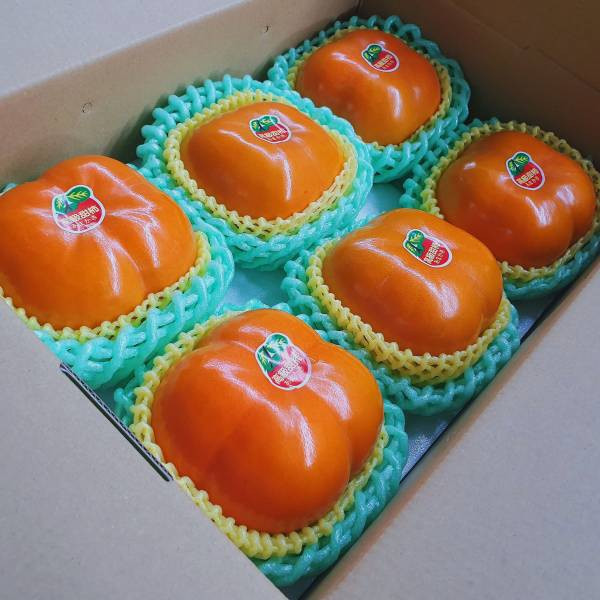 直播-高山上的大雪山甜柿-甜度超越極致 台灣甜柿, 富有甜柿, 次朗甜柿, 高山水果, 秋冬限定水果, 脆口甜柿, 水果禮盒, 甜到心坎裡, Smile水果, 節慶送禮, 香甜水果, 高山種植