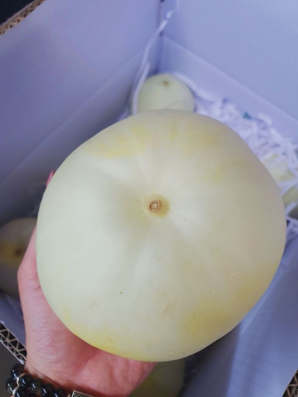 直播 露天 香瓜 