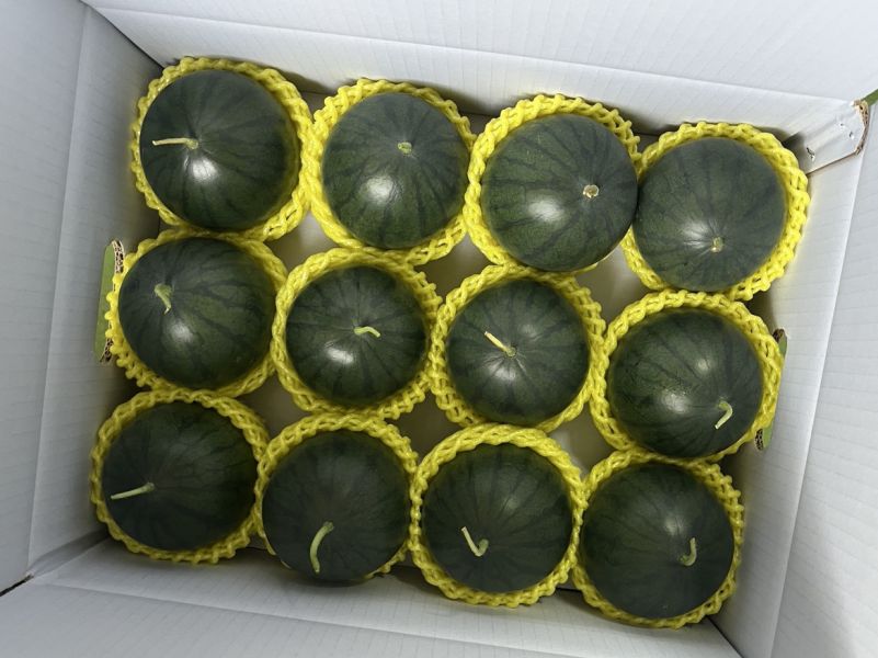 黑皮西瓜-好好吃唷 