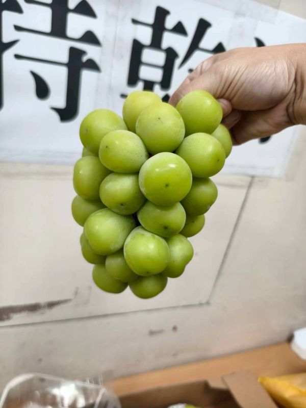 韓國麝香葡萄-優惠版 韓國麝香葡萄、進口水果、精品水果、甜香葡萄、節慶送禮、水果禮盒推薦、冷藏宅配、新鮮水果、禮盒首選、Smile水果