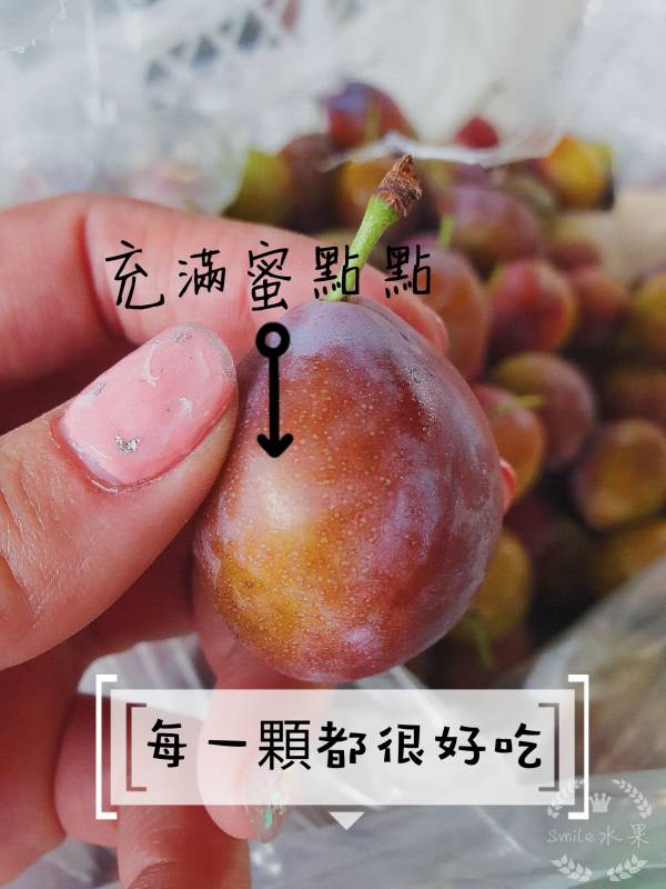 智利 蜜糖棗-佈滿蜜點點 好好吃的甜蜜 