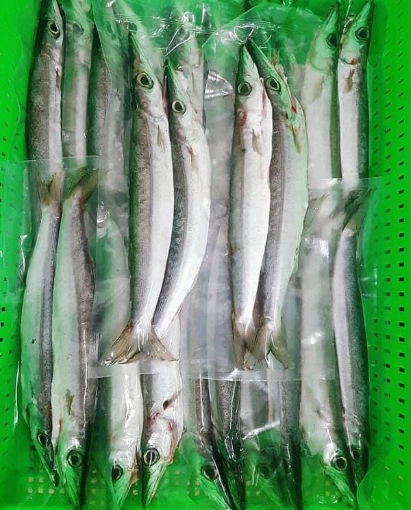 野生尖梭魚-1包 不含運-肉細緻 無暗刺 