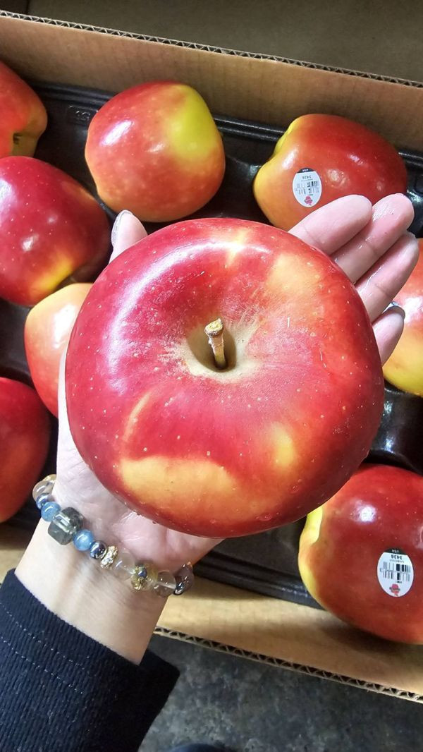 美國 黃金蘋果 - 特殊清香 香甜可口 