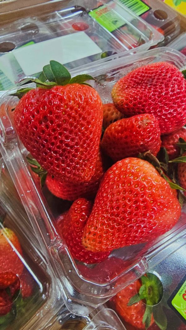 紐西蘭好吃草莓 