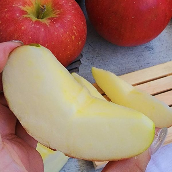 直播 -日本紅顏姬蘋果  -完全零負評 