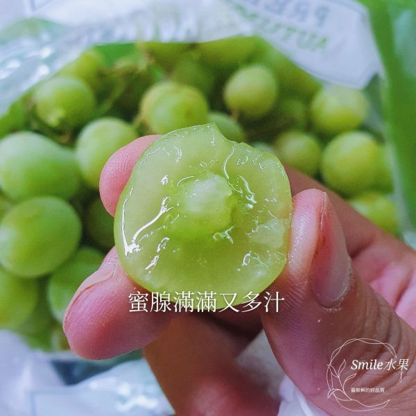 直播 秋脆-綠無籽葡萄 