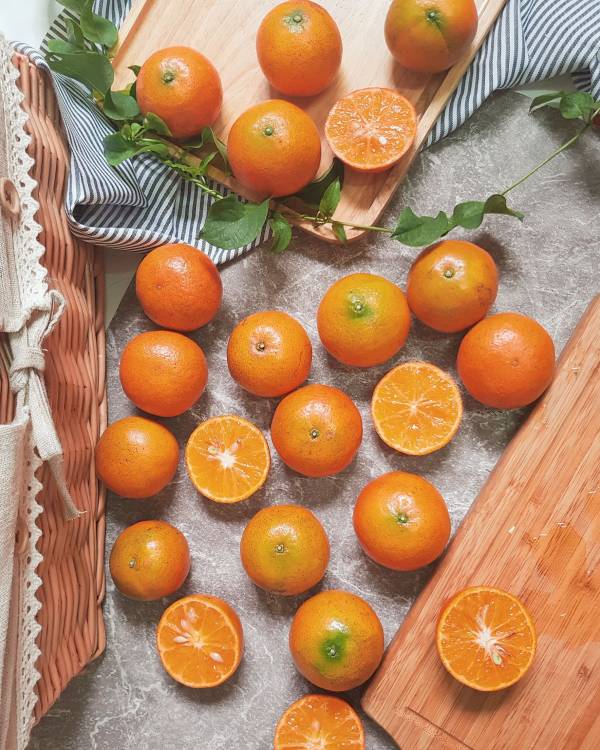 台灣本產-紅蜜柑 