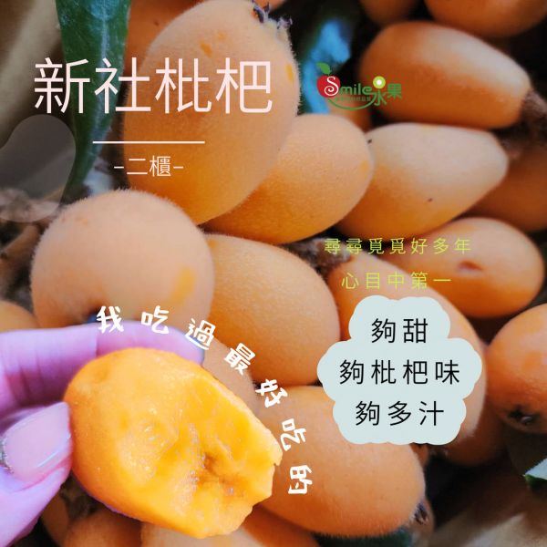 4/1後出貨 新社二櫃-好好吃的枇杷 